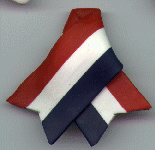 RWB Ribbon Pin