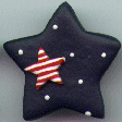 Blue Star Pin