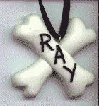 Xray ornament